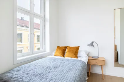 Chambre privée à Seilduksgata, Grünerløkka, image 1 de 10