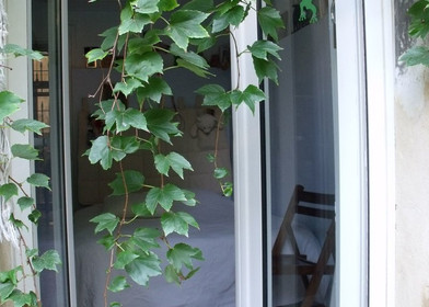 image de l'hébergement