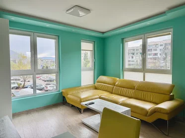 Appartamento intero in bulevard „Doctor G. M. Dimitrov“, Izgrev, immagine 4 di 10