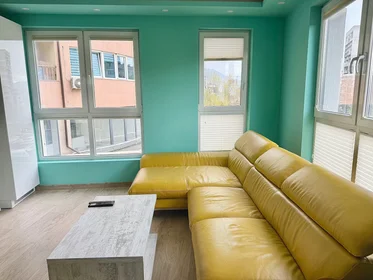 Appartamento intero in bulevard „Doctor G. M. Dimitrov“, Izgrev, immagine 5 di 10