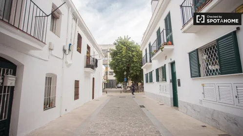 Logement entier à Carrer de Topete, image 15 de 16
