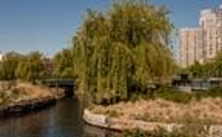 Estudio en residencia en 2, Leighton St., Unit 1-142, East Cambridge, Cambridge, MA, 02141, imagen 15 de 34