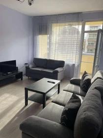 Logement entier à g.k. Iztok, image 1 de 10