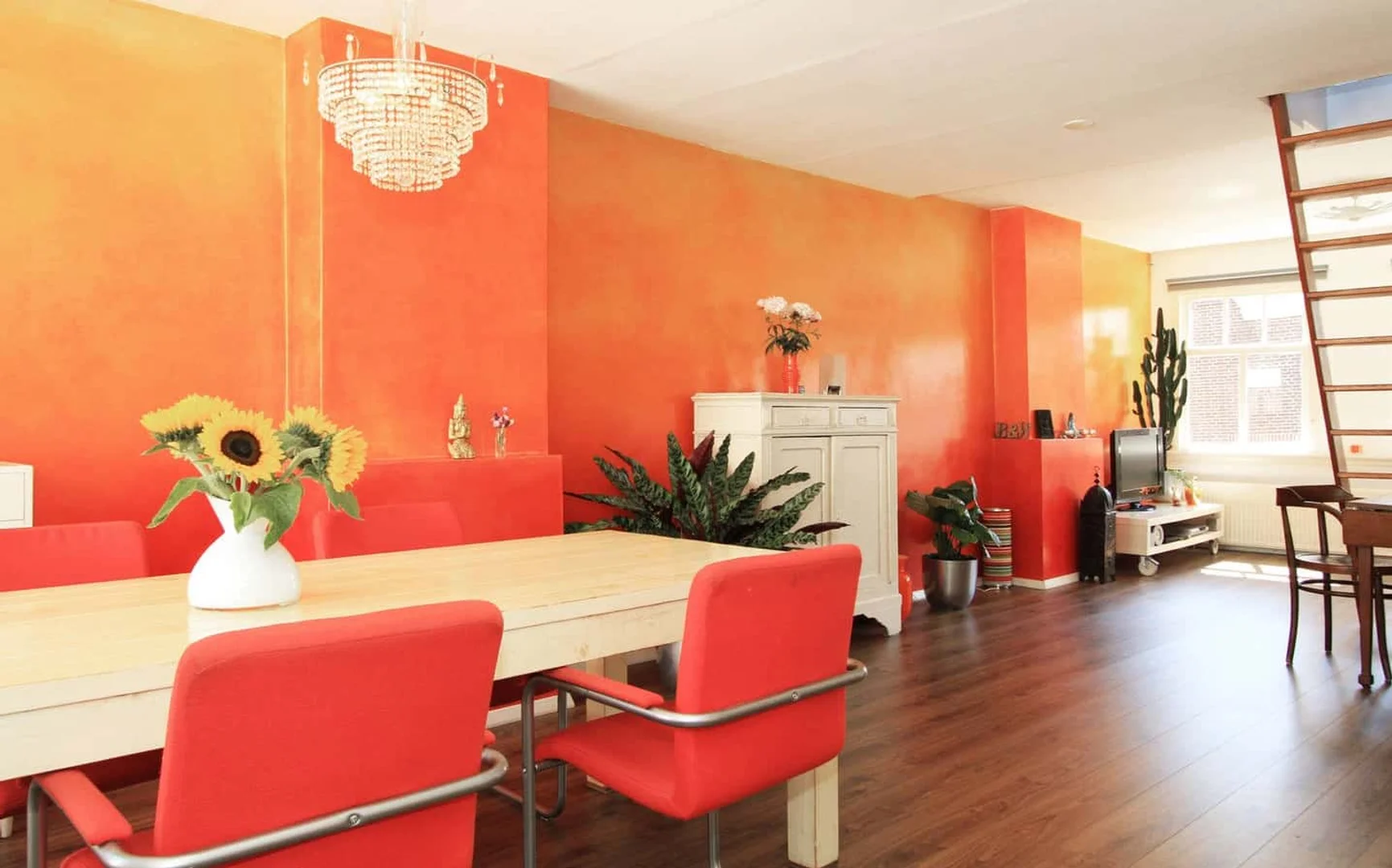 Laurierstraat 74III, 1016 PN Amsterdam, Nederland