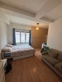 Habitación privada en Pieter Breughelstraat, imagen 1 de 5
