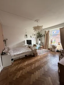 Habitación privada en Willem Barentzstraat, imagen 1 de 6
