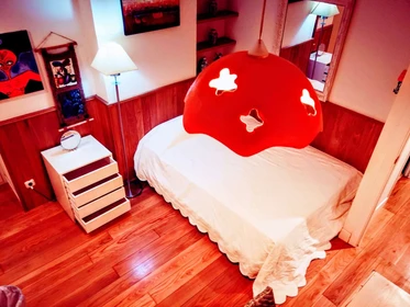 Alquiler de habitación en piso compartido en Donostia-san-sebastian