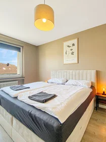 Entire apartment at Letterstraße, image 14 of 21
