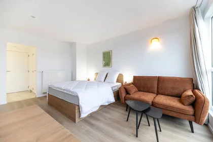 Studio at Rue des Palmiers, image 2 of 13