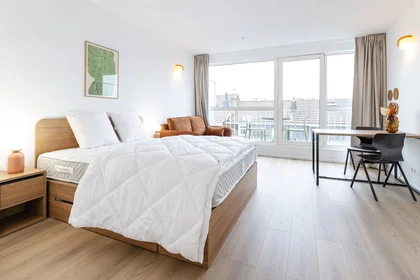 Apartamento inteiro em Rue des Palmiers, imagem 4 de 12