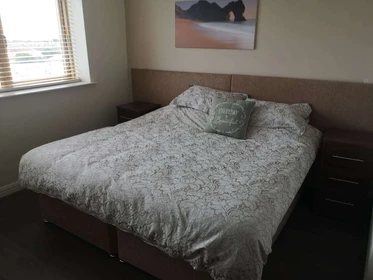 Zimmer mit Doppelbett zu vermieten Dublin