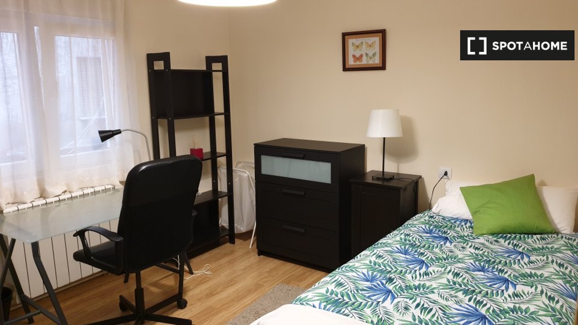 Cheap private room in Oviedo
