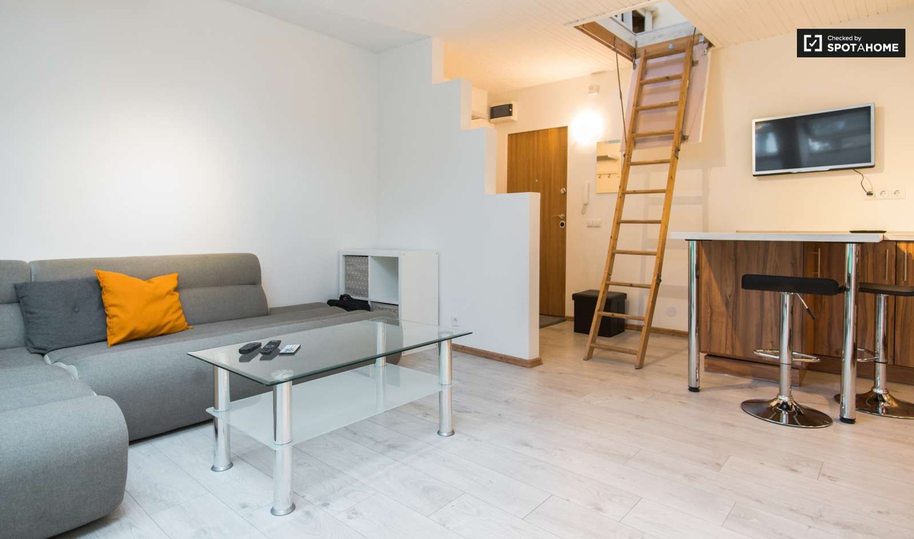 Luminoso e moderno appartamento a Vilna