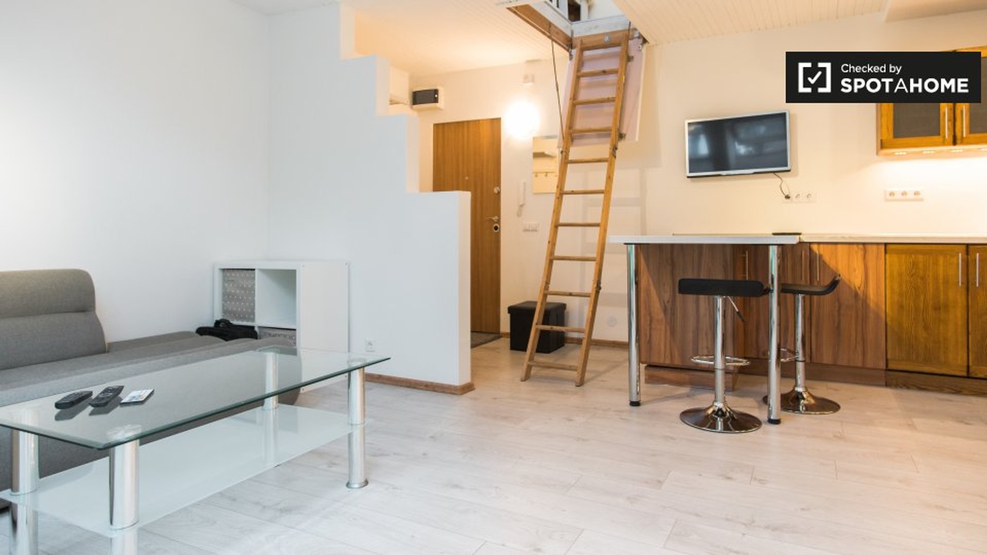 Luminoso e moderno appartamento a Vilna