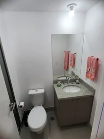 Entire apartment at Rua Nunes Machado 76, image 8 of 14