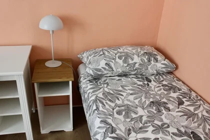Quarto privado em Via Monte Rosa, 3, 10154 Torino TO, Italia, imagem 5 de 24