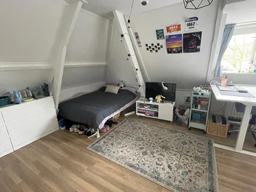 Prywatny pokój Pathmossingel, obraz 1 10