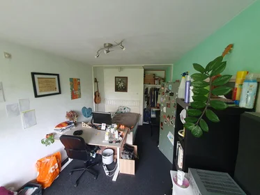 Private room at Roland Holstlaan, image 1 of 5