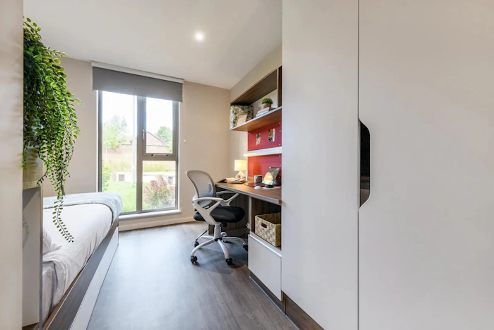 Student-friendly room in  with modern amenities