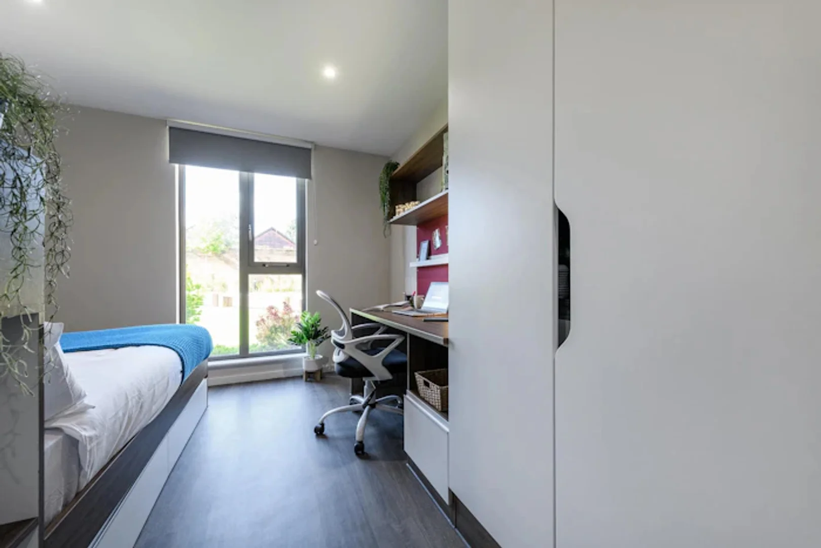 Bezahlbares Zimmer für Studenten mit ausreichender Beleuchtung in 