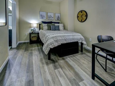 Toda a acomodação em 1001 UTA Blvd, Arlington, TX 76013, imagem 1 de 10