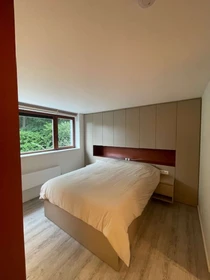 Quarto para alugar com cama de casal em Auderghem