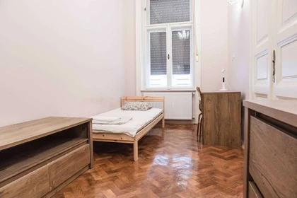 Room for rent in a shared flat in Budapest