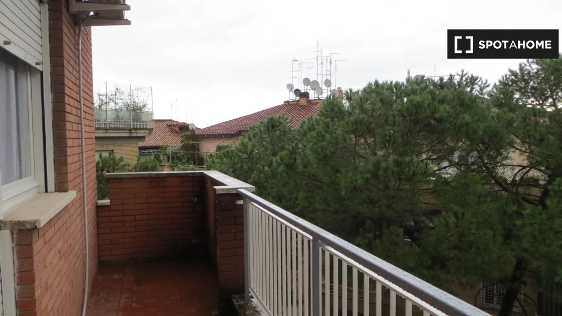 Via Carlo Conti Rossini
