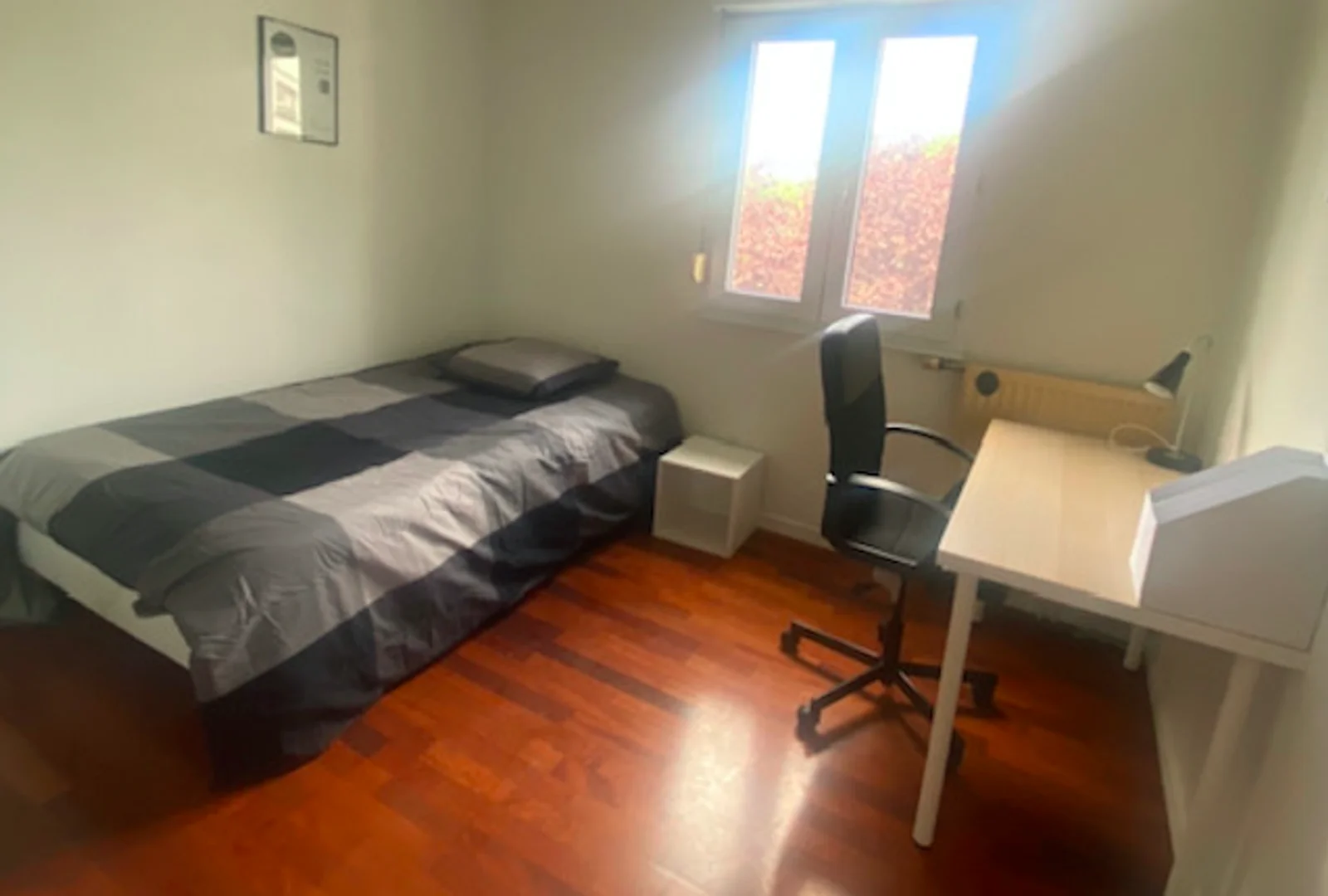 Camera accogliente per studenti disponibile a 