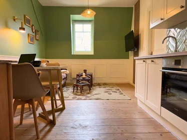 Logement entier à Rue des Franciscains, Centre Historique Ouest, image 10 de 10