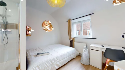 Prywatny pokój 10 Rue de la Paix d'Utrecht, 59000 Lille, France, obraz 1 10