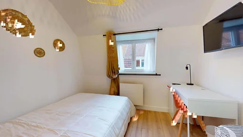 Prywatny pokój 10 Rue de la Paix d'Utrecht, 59000 Lille, France, obraz 1 10