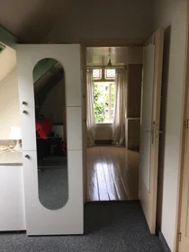 Prywatny pokój Mathenesserdijk, obraz 6 10