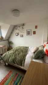 Private room at Singelstraat, image 1 of 4