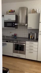 Kawalerka Voltaireweg, 9, obraz 7 19