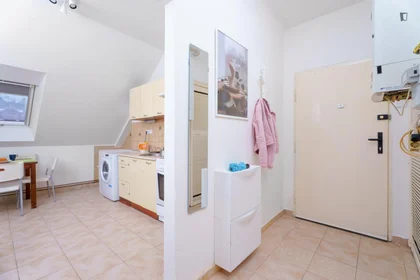 Chambre privée à Na Jezerce, image 13 de 14