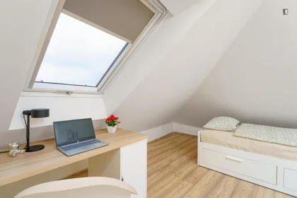 Chambre privée à Na Jezerce, image 3 de 14