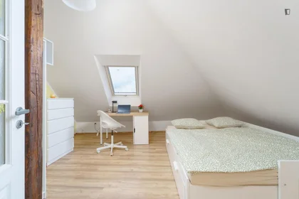 Chambre privée à Na Jezerce, image 4 de 14