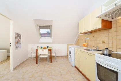 Chambre privée à Na Jezerce, image 7 de 14