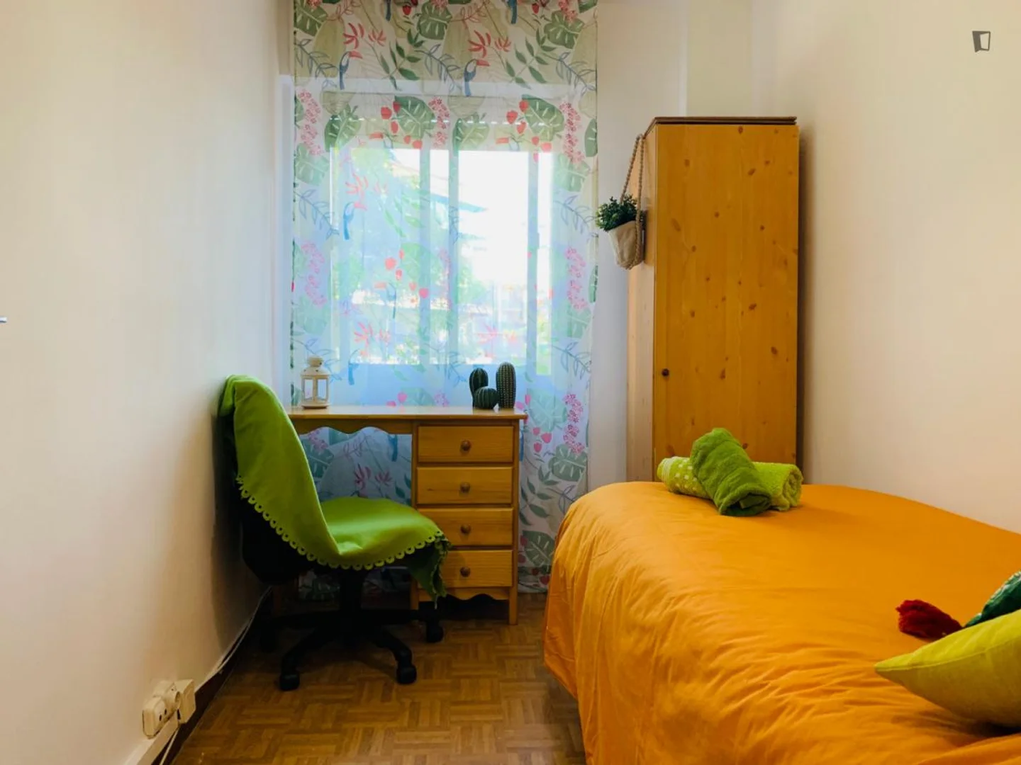 Affordable room for students with ample lighting in 