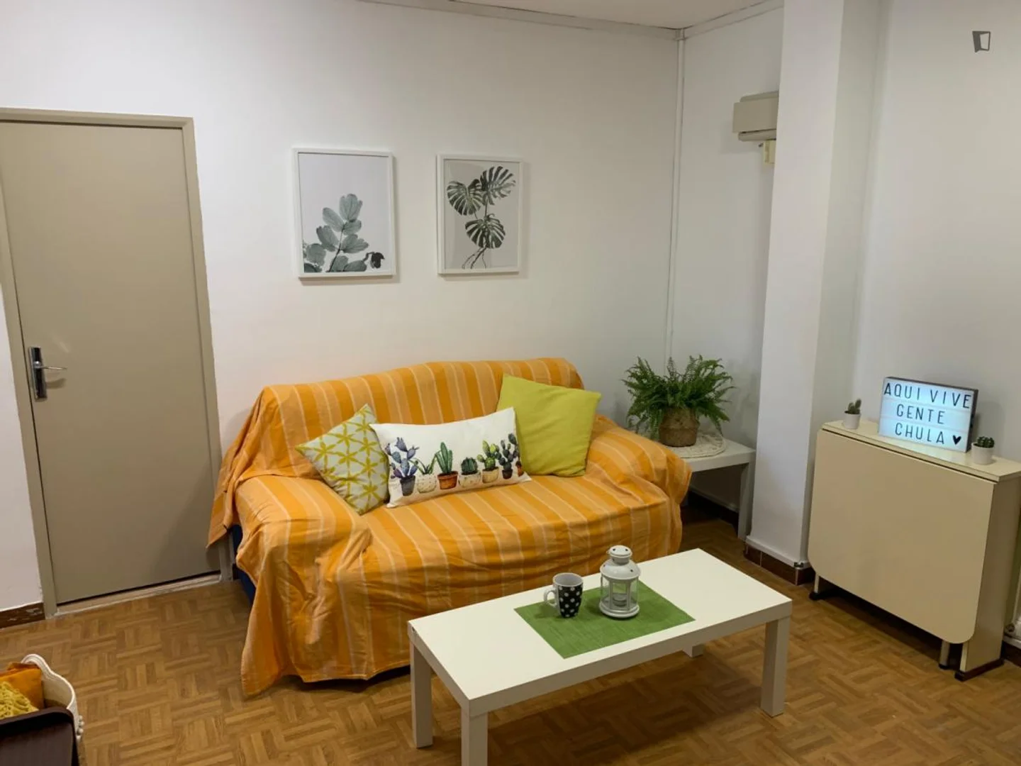 Affordable room for students with ample lighting in 