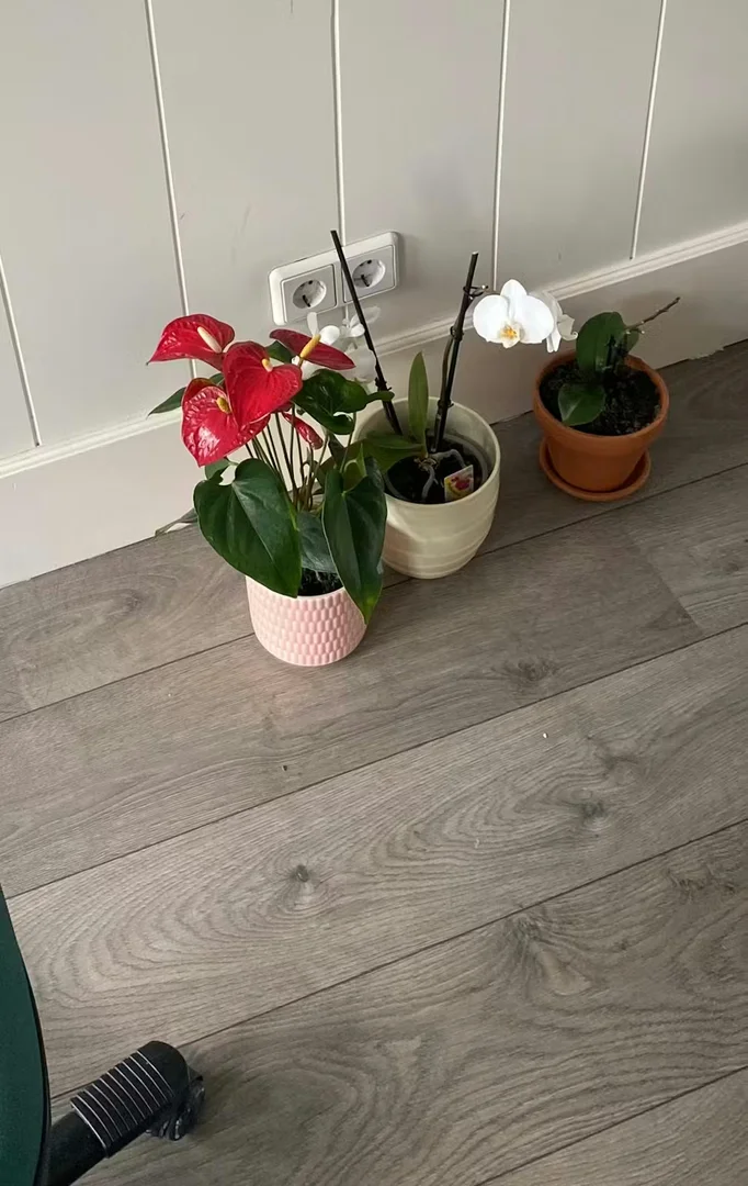 bölgesinde konforlu ve ferah öğrenci odası