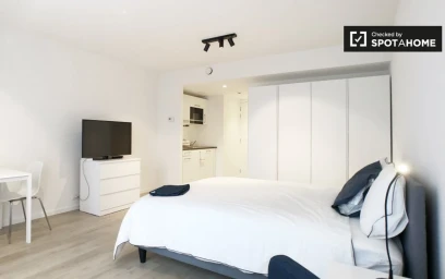 Studio à Notelaarsstraat, image 3 de 19