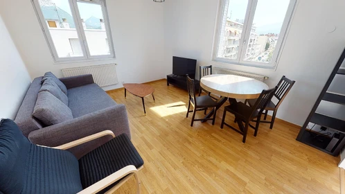 Room for rent in a shared flat in Grenoble