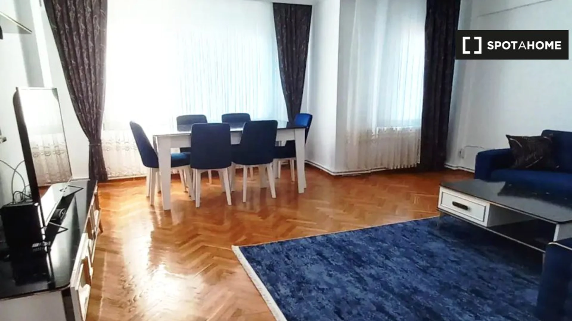 Entire fully furnished flat in Istanbul