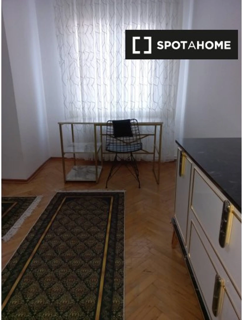 Entire fully furnished flat in Istanbul