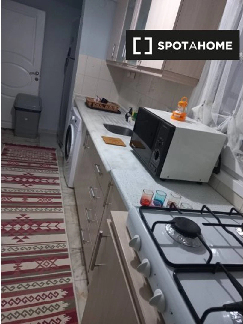 Appartamento completamente ristrutturato a Istanbul