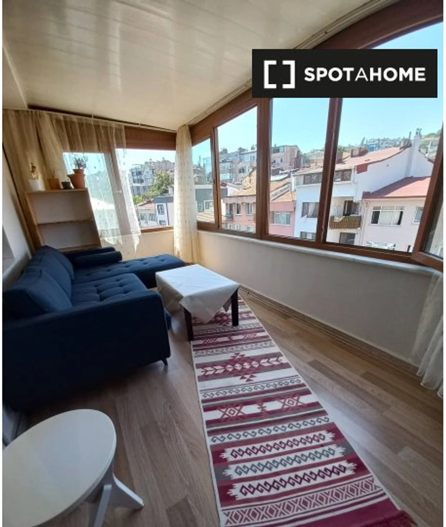 Luminoso e moderno appartamento a Istanbul